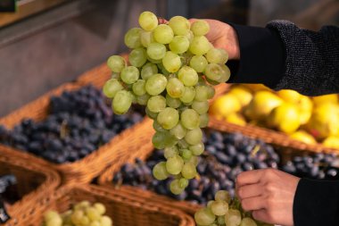 Beyaz üzüm dalını tutan eller. Kadın markette üzüm seçiyor. Sağlıklı doğal atıştırmalık.