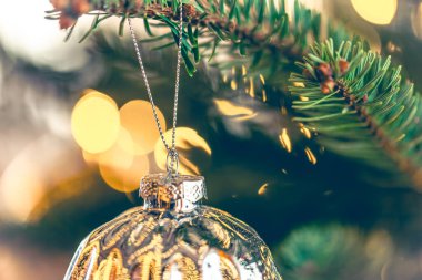 Yılbaşı ağacı dalında gümüş parlayan Noel balosu, yakın plan. Noel arkaplanı ve bir dalda Noel topu..