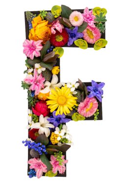F harfi gerçek doğal çiçeklerden ve beyaz arka plandaki yapraklardan oluşmuştur. Flower font konsepti. Eşsiz harf ve sayı koleksiyonu. Bahar ve yaz yaratıcı fikir.