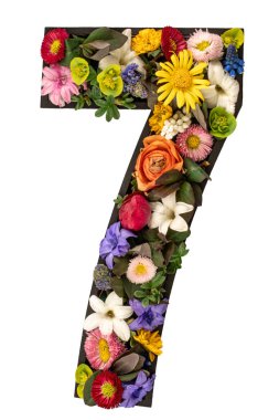 7 numara gerçek doğal çiçeklerden ve beyaz arkaplandaki yapraklardan yapıldı. Flower font konsepti. Eşsiz harf ve sayı koleksiyonu. Bahar ve yaz yaratıcı fikir.
