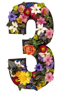 Gerçek doğal çiçeklerden ve beyaz arka plandaki yapraklardan oluşan 3 numara izole edilmiş. Flower font konsepti. Eşsiz harf ve sayı koleksiyonu. Bahar ve yaz yaratıcı fikir.