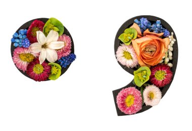 Şeffaf arkaplanda gerçek doğal çiçeklerden yapılmış nokta ve virgül izleri. Flower font konsepti. Eşsiz harf ve sayı koleksiyonu. Bahar ve yaz yaratıcı fikir.