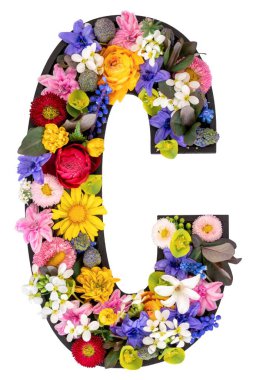 C harfi gerçek doğal çiçeklerden ve şeffaf arkaplanda yapraklardan oluşmuştur. Flower font konsepti. Eşsiz harf ve sayı koleksiyonu. Bahar ve yaz yaratıcı fikir.