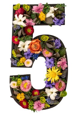 5 numara gerçek doğal çiçeklerden ve beyaz arkaplandaki yapraklardan yapıldı. Flower font konsepti. Eşsiz harf ve sayı koleksiyonu. Bahar ve yaz yaratıcı fikir.