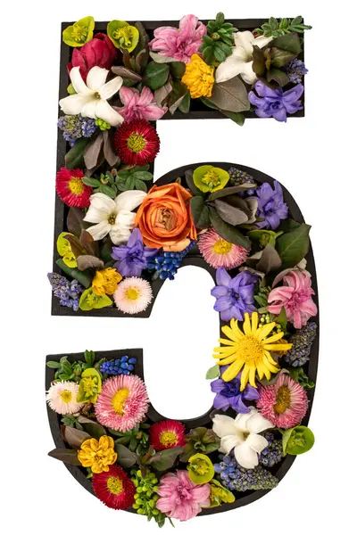 5 numara gerçek doğal çiçeklerden ve beyaz arkaplandaki yapraklardan yapıldı. Flower font konsepti. Eşsiz harf ve sayı koleksiyonu. Bahar ve yaz yaratıcı fikir.