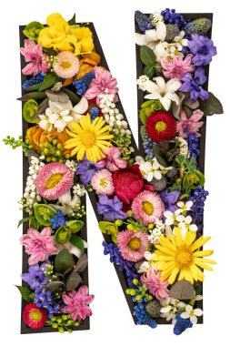 N harfi gerçek doğal çiçeklerden ve beyaz arkaplandaki yapraklardan oluşmuştur. Flower font konsepti. Eşsiz harf ve sayı koleksiyonu. Bahar ve yaz yaratıcı fikir.