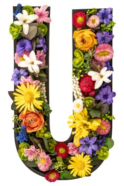 Gerçek doğal çiçeklerden ve beyaz arka plandaki yapraklardan oluşan U harfi. Flower font konsepti. Eşsiz harf ve sayı koleksiyonu. Bahar ve yaz yaratıcı fikir.
