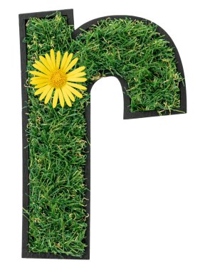 R harfi yeşil çimenden yapılmış ve çiçekleri beyaza saklanmış. Tasarımın için yazı tipi. Eko kavramı.