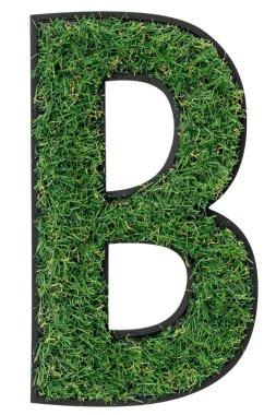 Çimen harfi B, alfabe 3 boyutlu tasarım izole, şeffaf arkaplan. Sembol eko doğa ortamı, gezegeni kurtarın. Gerçekçi çayır.