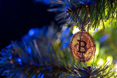 Bokeh ışıkları olan bir Noel ağacında Bitcoin para. Finans konsepti. Noel ağacına yakın plan Bitcoin. Yüksek kalite fotoğraf