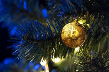 Bokeh ışıkları olan bir Noel ağacında Bitcoin para. Finans konsepti. Noel ağacına yakın plan Bitcoin. Yüksek kalite fotoğraf