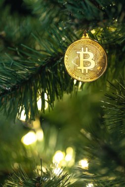 Bokeh ışıkları olan bir Noel ağacında Bitcoin para. Finans konsepti. Noel ağacına yakın plan Bitcoin. Yüksek kalite fotoğraf