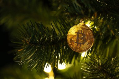 Bokeh ışıkları olan bir Noel ağacında Bitcoin para. Finans konsepti. Noel ağacına yakın plan Bitcoin. Yüksek kalite fotoğraf