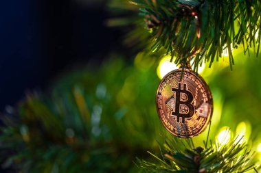 Bokeh ışıkları olan bir Noel ağacında Bitcoin para. Finans konsepti. Noel ağacına yakın plan Bitcoin. Yüksek kalite fotoğraf