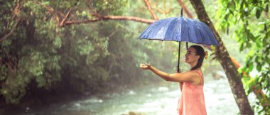 Yağmurda şemsiyesi olan genç bir kadın. Yağmurlu bir gün. Yüksek kalite fotoğraf. Mesaj için yer var. Güzel bir kadın yağmur altında.