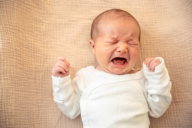 Yeni doğmuş bebek. Yeni doğmuş bebek ağlıyor. Yüksek kalite fotoğraf. Yeni doğmuş bir bebeğin portresi. Annelik. Çocukluk.