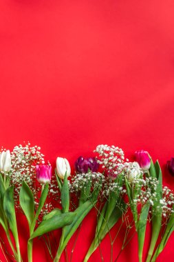 Bahar arka planı. Kadınlar Günü 'nde. Anneler Günü. Lalelerin üst görüntüsü. Yüksek kalite fotoğraf. Uluslararası Kadınlar Günü. Kopyalama alanı ile bahar arkaplanı.