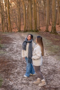 Ormanda yürüyen iki kadın. Orman. Doğa. Açık hava eğlencesi. Yüksek kalite fotoğraf. Ormanda bir patika boyunca yürüyen iki kadın. Soğuk hava. Metin için boşluk.