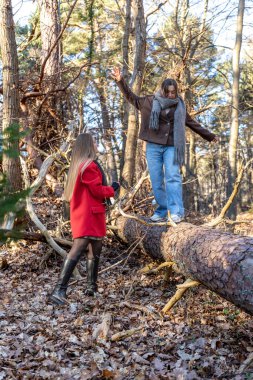 Ormanda yürüyen iki kadın. Orman. Doğa. Açık hava eğlencesi. Yüksek kalite fotoğraf. Soğuk hava. Doğa gezisi. Düşen ağaç gövdesinden geçen bir kadın..