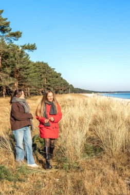 Deniz kıyısında yürüyen iki kadın. İki arkadaş eğleniyor ve birlikte vakit geçiriyorlar. Yüksek kalite fotoğraf. Doğada bir yürüyüş. Uzayı kopyala Soğuk hava.