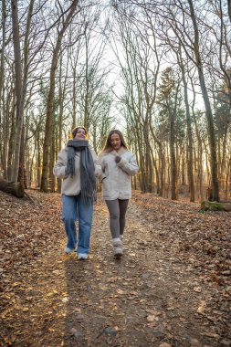 Ormanda yürüyüş yapan iki bayan arkadaş. Ormanda yürüyen arkadaşlar. Doğadaki insanlar. Yüksek kalite fotoğraf. Ormanda bir yürüyüş. Doğada rahatlama.