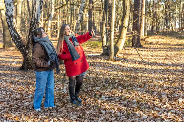 Ormanda iki kadın. Manzarayı gösteren bir kadın. Doğadaki insanlar. Yüksek kalite fotoğraf. Ormanda bir yürüyüş, doğada. İlkbahar, sonbahar mevsimi. Metin için boşluk.