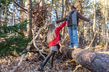 Ormanda yürüyen iki kadın. Orman. Doğa. Açık hava eğlencesi. Yüksek kalite fotoğraf. Soğuk hava. Doğa gezisi. Düşen ağaç gövdesinden geçen bir kadın..