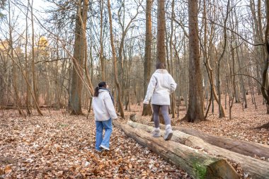 Ormanda yürüyüş yapan iki bayan arkadaş. Ormanda yürüyen arkadaşlar. Doğadaki insanlar. Yüksek kalite fotoğraf. Ormanda bir yürüyüş. Doğada rahatlama.