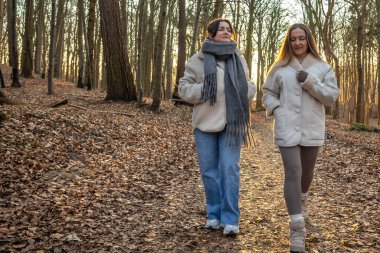 Ormanda yürüyüş yapan iki bayan arkadaş. Ormanda yürüyen arkadaşlar. Doğadaki insanlar. Yüksek kalite fotoğraf. Ormanda bir yürüyüş. Doğada rahatlama. Arka görünüm.