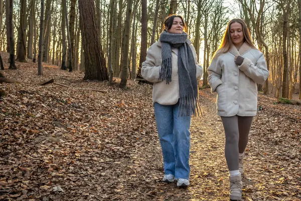 Ormanda yürüyüş yapan iki bayan arkadaş. Ormanda yürüyen arkadaşlar. Doğadaki insanlar. Yüksek kalite fotoğraf. Ormanda bir yürüyüş. Doğada rahatlama. Arka görünüm.