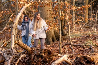 Ormanda yürüyen iki kadın. Orman. Doğa. Açık hava eğlencesi. Yüksek kalite fotoğraf. Soğuk hava. Doğa gezisi. Metin için boşluk.