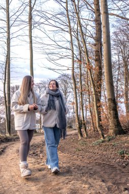 Ormanda yürüyen iki kadın. Orman. Doğa. Açık hava eğlencesi. Yüksek kalite fotoğraf. Ormanda bir patika boyunca yürüyen iki kadın. Soğuk hava.