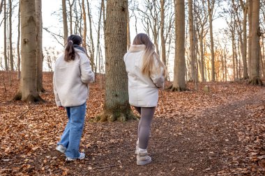 Ormanda yürüyüş yapan iki bayan arkadaş. Ormanda yürüyen arkadaşlar. Doğadaki insanlar. Yüksek kalite fotoğraf. Ormanda bir yürüyüş. Doğada rahatlama. Arka görünüm.