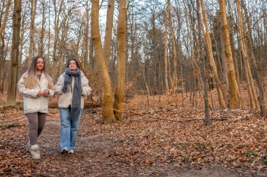 Ormanda yürüyen iki kadın. Orman. Doğa. Açık hava eğlencesi. Yüksek kalite fotoğraf. Ormanda bir patika boyunca yürüyen iki kadın. Soğuk hava. Metin için boşluk.