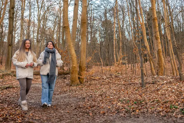 Ormanda yürüyen iki kadın. Orman. Doğa. Açık hava eğlencesi. Yüksek kalite fotoğraf. Ormanda bir patika boyunca yürüyen iki kadın. Soğuk hava. Metin için boşluk.