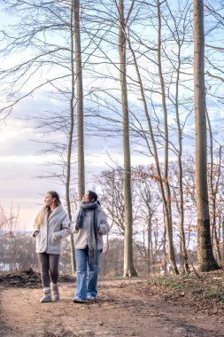 Ormanda yürüyen iki kadın. Orman. Doğa. Açık hava eğlencesi. Yüksek kalite fotoğraf. Ormanda bir patika boyunca yürüyen iki kadın. Soğuk hava.