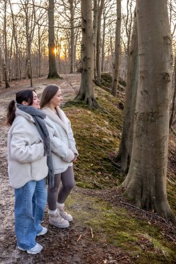 Ormanda yürüyen iki kadın. Orman. Doğa. Açık hava eğlencesi. Yüksek kalite fotoğraf. Ormanda bir patika boyunca yürüyen iki kadın. Soğuk hava. Metin için boşluk.