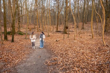 Ormanda yürüyen iki kadın. Orman. Doğa. Açık hava eğlencesi. Yüksek kalite fotoğraf. Ormanda bir patika boyunca yürüyen iki kadın. Soğuk hava. Metin için boşluk.