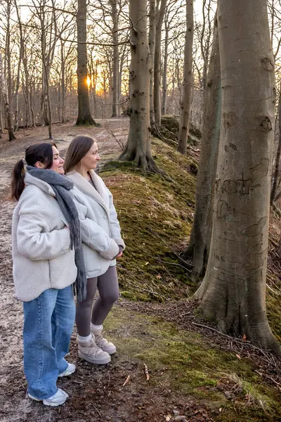 Ormanda yürüyen iki kadın. Orman. Doğa. Açık hava eğlencesi. Yüksek kalite fotoğraf. Ormanda bir patika boyunca yürüyen iki kadın. Soğuk hava. Metin için boşluk.