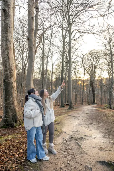 Ormanda iki kadın. Manzarayı gösteren bir kadın. Doğadaki insanlar. Yüksek kalite fotoğraf. Ormanda bir yürüyüş, doğada. İlkbahar, sonbahar mevsimi. Boşluğu kopyala.