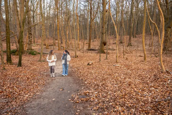 Ormanda yürüyen iki kadın. Orman. Doğa. Açık hava eğlencesi. Yüksek kalite fotoğraf. Ormanda bir patika boyunca yürüyen iki kadın. Soğuk hava. Metin için boşluk.