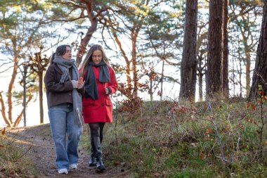 Ormanda yürüyen iki kadın. Orman. Doğa. Açık hava eğlencesi. Yüksek kalite fotoğraf. Ormanda bir patika boyunca yürüyen iki kadın. Soğuk hava. Metin için boşluk.