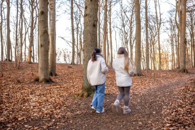 Ormanda yürüyüş yapan iki bayan arkadaş. Ormanda yürüyen arkadaşlar. Doğadaki insanlar. Yüksek kalite fotoğraf. Ormanda bir yürüyüş. Doğada rahatlama. Arka görünüm.