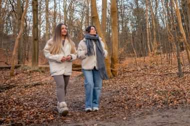 Ormanda yürüyen iki kadın. Orman. Doğa. Açık hava eğlencesi. Yüksek kalite fotoğraf. Ormanda bir patika boyunca yürüyen iki kadın. Soğuk hava.