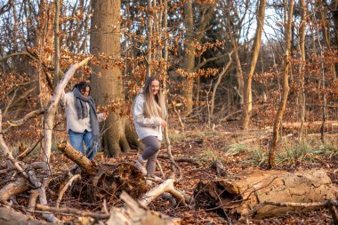 Ormanda yürüyen iki kadın. Orman. Doğa. Açık hava eğlencesi. Yüksek kalite fotoğraf. Soğuk hava. Doğa gezisi. Metin için boşluk.