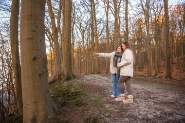 Ormanda iki kadın. Manzarayı gösteren bir kadın. Doğadaki insanlar. Yüksek kalite fotoğraf. Ormanda bir yürüyüş, doğada. İlkbahar, sonbahar mevsimi. Boşluğu kopyala.