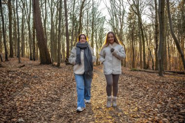 Ormanda yürüyüş yapan iki bayan arkadaş. Ormanda yürüyen arkadaşlar. Doğadaki insanlar. Yüksek kalite fotoğraf. Ormanda bir yürüyüş. Doğada rahatlama.
