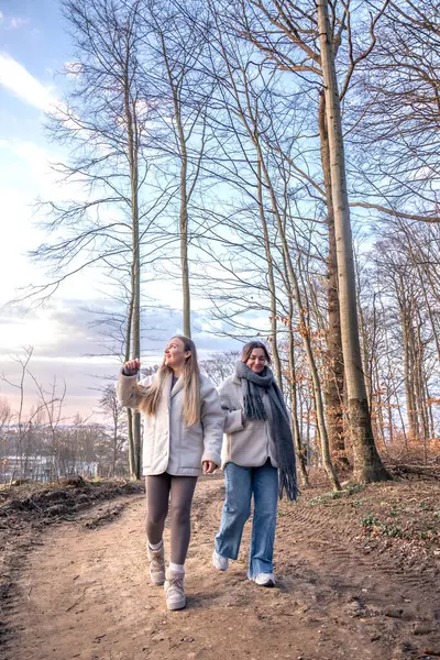 Ormanda yürüyen iki kadın. Orman. Doğa. Açık hava eğlencesi. Yüksek kalite fotoğraf. Ormanda bir patika boyunca yürüyen iki kadın. Soğuk hava.