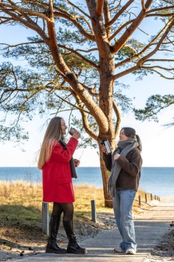 Deniz kıyısındaki termostan sıcak kahve içen iki kadın. Doğa. Deniz. Rıhtım. Yüksek kalite fotoğraf. Soğuk hava, bahar, sonbahar.