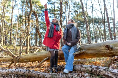 Ormanda yürüyüş yapan iki bayan arkadaş. Ormanda yürüyen arkadaşlar. Doğadaki insanlar. Yüksek kalite fotoğraf. Ormanda bir yürüyüş. Doğada rahatlama.